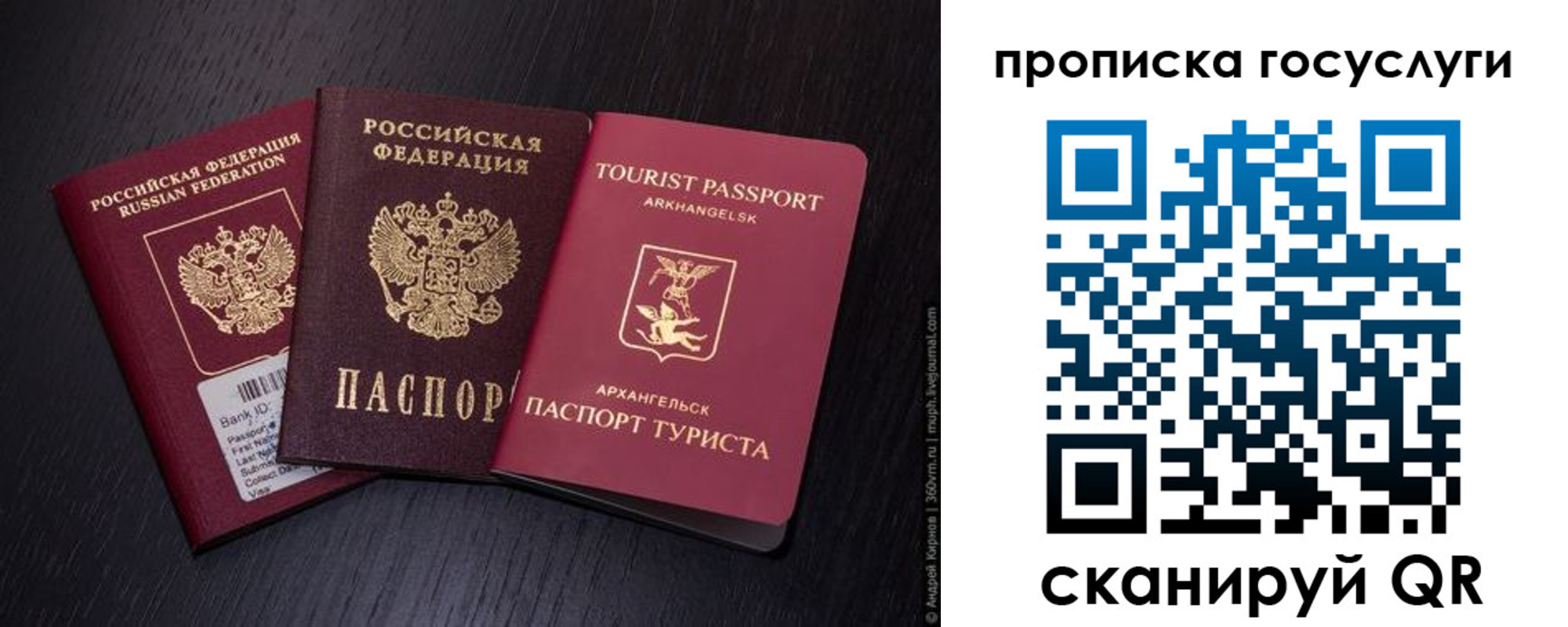 прописка 2025 в Зее